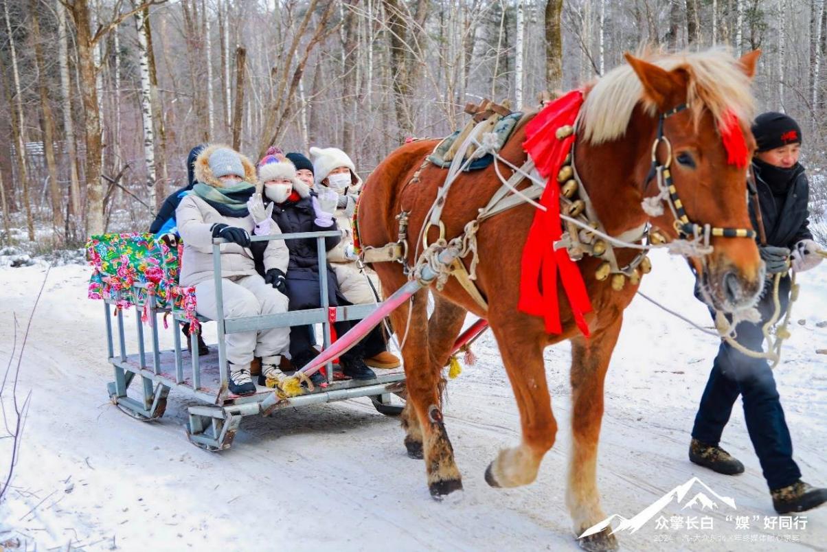 優(yōu)勢(shì)突出后勁足 長(zhǎng)白山邁騰高爾夫新體驗(yàn) 刷新合資車綜合實(shí)力認(rèn)知