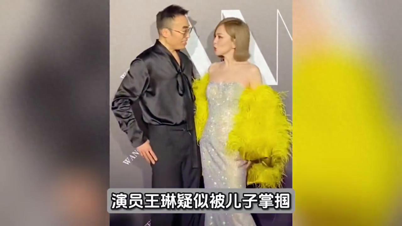 王琳回應(yīng)被兒子掌摑傳聞