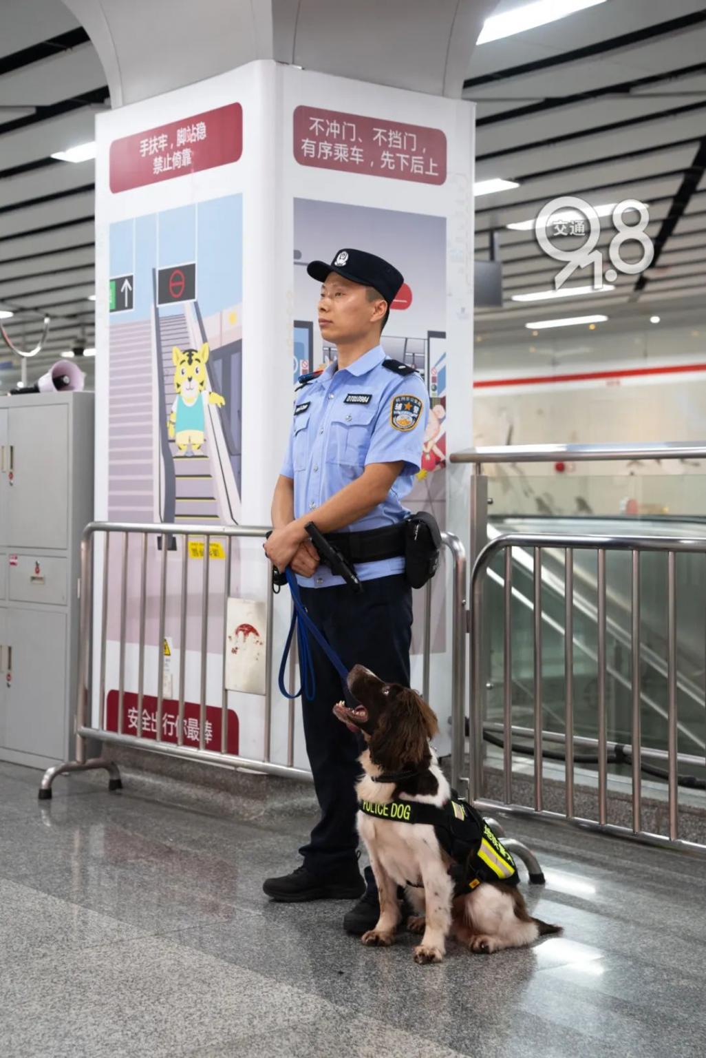 杭州地鐵里的傲嬌警犬火出圈