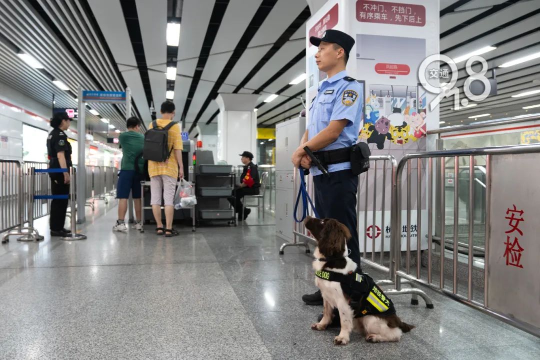 杭州地鐵里的傲嬌警犬火出圈